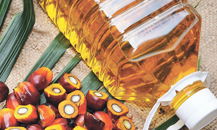 Oil palm price gap between Karnataka and Telangana widens to Rs 6,635