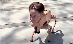 ಸ್ಯಾನ್ ಫ್ರಾನ್ಸಿಸ್ಕೋ ಬೀದಿಗಳಲ್ಲಿ ಎಲಾನ್ ಮಸ್ಕ್ ಮುಖದ 'ರೋಬೋಟ್ ನಾಯಿ' ಸಂಚಾರ!