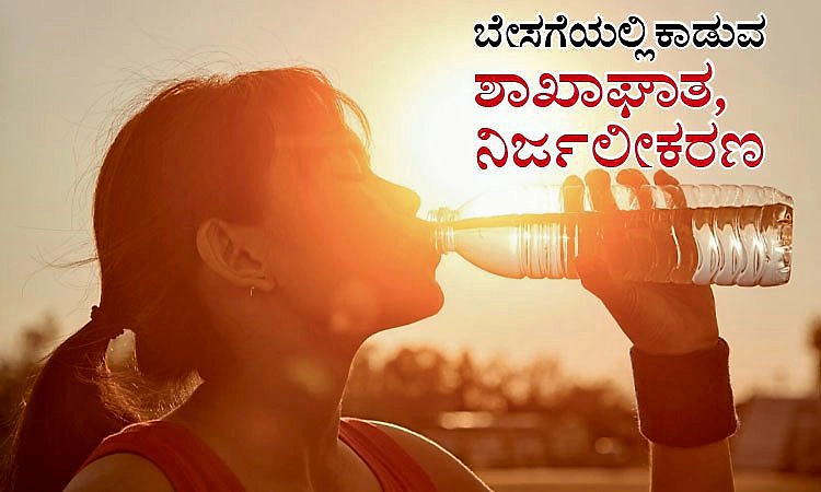 Heatstroke Dehydration: ಬೇಸಗೆಯಲ್ಲಿ ಕಾಡುವ ಶಾಖಾಘಾತ, ನಿರ್ಜಲೀಕರಣ