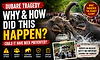 Too close to danger? Dubare incident highlights risks of wildlife interaction