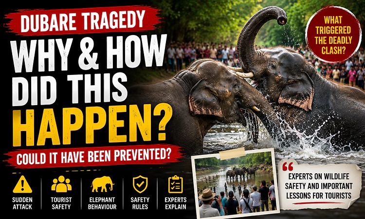 Too close to danger? Dubare incident highlights risks of wildlife interaction