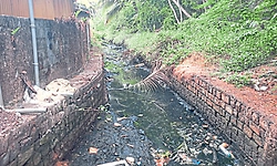 ಸುಡುಗಾಡು ತೋಡಿನದ್ದೇ ದೊಡ್ಡ ಸಮಸ್ಯೆ
