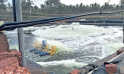 ಒಳನಾಡು ಮೀನುಗಾರಿಕೆ ಹೆಚ್ಚಳಕ್ಕೆ ಸಕಾಲ