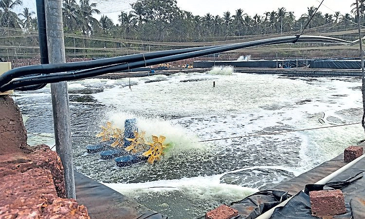 ಒಳನಾಡು ಮೀನುಗಾರಿಕೆ ಹೆಚ್ಚಳಕ್ಕೆ ಸಕಾಲ
