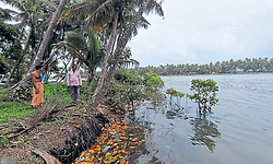 ಪಿನಾಕಿನಿ ಹೊಳೆ ಕೊರೆತಕ್ಕೆ ಮಟ್ಟು ತತ್ತರ