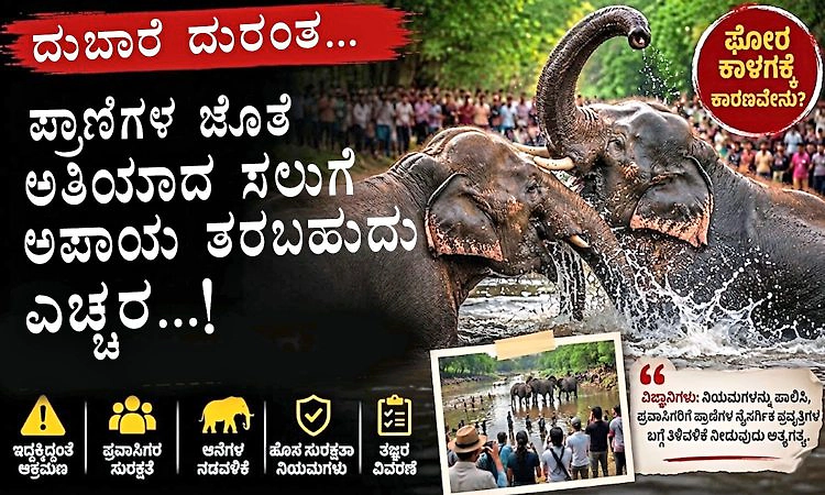 ಪ್ರಾಣಿಗಳ ಜೊತೆ ಅತಿಯಾದ ಸಲುಗೆ ಅಪಾಯ ತರಬಹುದು ಎಚ್ಚರ!