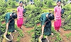 Kundapura: ಡೆಂಗ್ಯೂ ಹೆಚ್ಚಳ ಭೀತಿ: ಇರಲಿ ಮುನ್ನೆಚ್ಚರ
