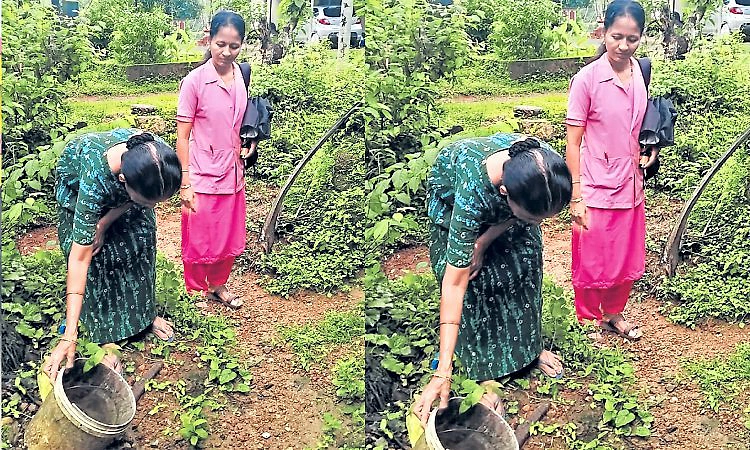 Kundapura: ಡೆಂಗ್ಯೂ ಹೆಚ್ಚಳ ಭೀತಿ: ಇರಲಿ ಮುನ್ನೆಚ್ಚರ