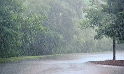 ಕರಾವಳಿ, ಮಲೆನಾಡಿನ 12 ಜಿಲ್ಲೆಗಳಲ್ಲಿ ಸಾಧಾರಣ ಮಳೆ