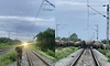 Video: Train halts in Assam to let elephant herd cross tracks safely