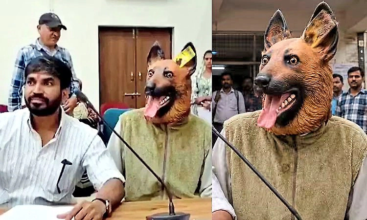 Sterilisation drive 'lapses': Man shows up in dog mask at Khandwa civic office to lodge protest