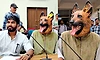 ಬೀದಿ ನಾಯಿಗಳ ಸಂತಾನಹರಣ ಹೆಸರಲ್ಲಿ ಅಕ್ರಮ ಆರೋಪ! ನಾಯಿ ಮುಖವಾಡ ಧರಿಸಿ ವಿಭಿನ್ನ ಪ್ರತಿಭಟನೆ