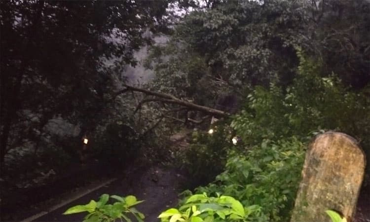 Landslide at Agumbe Ghat’s fifth curve halts traffic