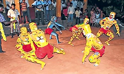ಕುಂದಾಪ್ರ ಹುಲಿಗಳ ಬಣ್ಣವೂ ಬದಲಾಗುತ್ತಿದೆ!