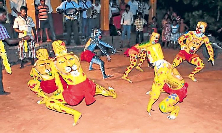 ಕುಂದಾಪ್ರ ಹುಲಿಗಳ ಬಣ್ಣವೂ ಬದಲಾಗುತ್ತಿದೆ!
