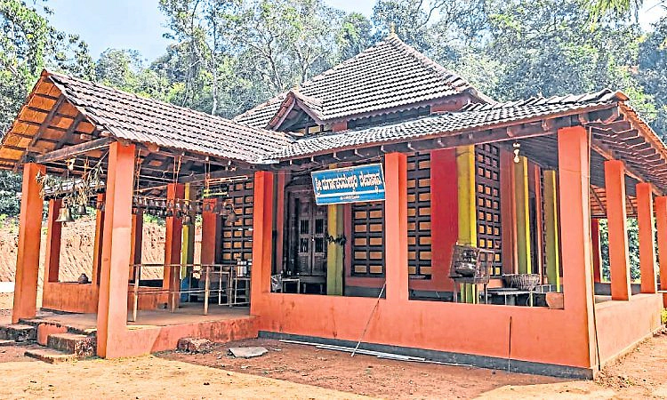 ಹುತ್ತದ ಬುಡದಲ್ಲಿ ಕುಳಿತ ಹುಂತನಗೋಳಿ ದೇವಿ