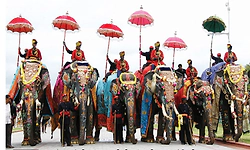 ಗಜಪಡೆಯ ಆರೈಕೆಯಲ್ಲೇ ಅಡಗಿದೆ ಜಂಬೂ ಸವಾರಿಯ ಯಶಸ್ಸು!