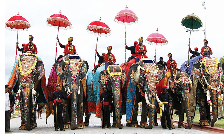 ಗಜಪಡೆಯ ಆರೈಕೆಯಲ್ಲೇ ಅಡಗಿದೆ ಜಂಬೂ ಸವಾರಿಯ ಯಶಸ್ಸು!