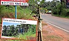 ಉದಯವಾಣಿ ಆನ್‌ಲೈನ್ ವರದಿ ಫಲಶ್ರುತಿ: ಚರಂಡಿ ಮೇಲಿನ ಗಿಡಗಳನ್ನು ತೆರವುಗೊಳಿಸಲು ಸೂಚನೆ