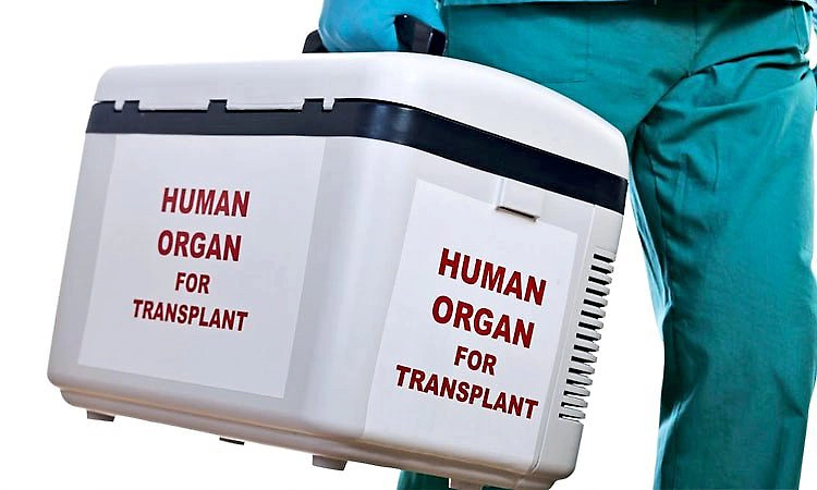 Supreme Court: ಅಂಗಾಂಗ ಕಸಿಗೆ ರಾಷ್ಟ್ರೀಯ ನೀತಿ ರೂಪಿಸಲು ಕೇಂದ್ರಕ್ಕೆ ಸುಪ್ರೀಂ ಸೂಚನೆ