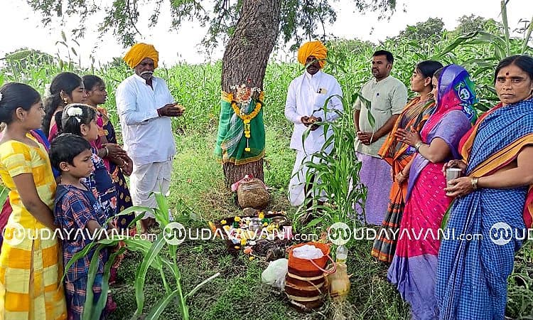 Dotihala: ಸಂಭ್ರಮದ ಎಳ್ಳು ಅಮವಾಸ್ಯೆ ‘ಚೆರಗ ಚೆಲ್ಲೂ’ ಹಬ್ಬ ಆಚರಿಸಿದ ರೈತರು