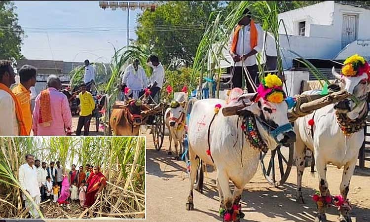 Yadgir: ದೇಸಿ ಆಹಾರ ಸಂಸ್ಕೃತಿಗೆ ಎಳ್ಳ ಅಮವಾಸ್ಯೆ ಪ್ರತೀತಿ
