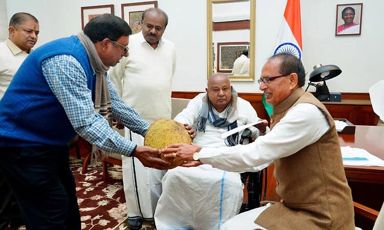 ಕೇಂದ್ರ ಕೃಷಿ ಸಚಿವರಿಗೆ ಶಿಡ್ಲಘಟ್ಟ ಹಲಸು ನೀಡಿದ ಎಚ್‌.ಡಿ.ದೇವೇಗೌಡ