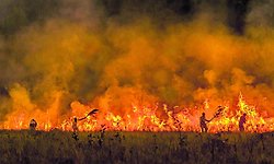 ಕಾಳ್ಗಿಚ್ಚಿನಿಂದ ಅರಣ್ಯಗಳ ರಕ್ಷಣೆ ಸುಧಾರಿತ ತಂತ್ರಜ್ಞಾನ ಬಳಕೆ ಅಗತ್ಯ