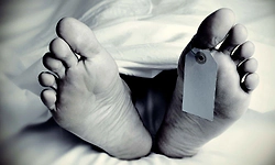 Badiyadka: ಲಾರಿಯಿಂದ ಮರ ಇಳಿಸುತ್ತಿದ್ದಾಗ ಮೈಮೇಲೆ ಬಿದ್ದು ಯುವಕನ ಸಾವು