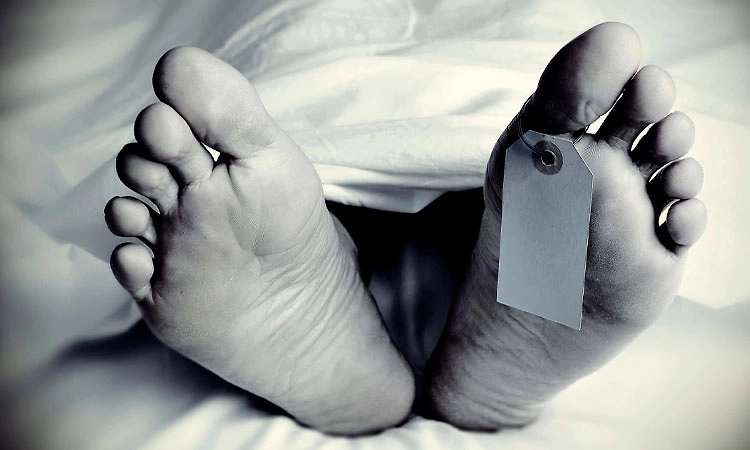 Badiyadka: ಲಾರಿಯಿಂದ ಮರ ಇಳಿಸುತ್ತಿದ್ದಾಗ ಮೈಮೇಲೆ ಬಿದ್ದು ಯುವಕನ ಸಾವು