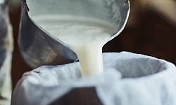 Dakshina Kannada milk union announces Rs 1 per litre special incentive for farmers