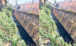 Uppinangady ಶಾಲೆ ಪಕ್ಕವೇ ಸೊಳ್ಳೆ ಉತ್ಪಾದನ ಕೇಂದ್ರ!