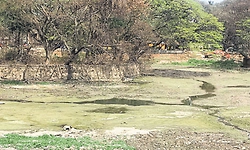 Bengaluru;ಐತಿಹಾಸಿಕ ಹಲಸೂರು ಕೆರೆ ಪ್ರವಾಸಿ ತಾಣವಾಗಿಸಲು ಯೋಜನೆ