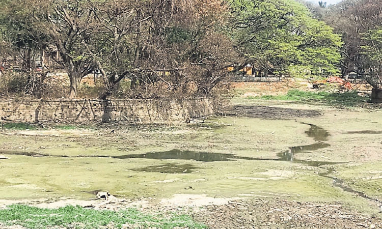 Bengaluru;ಐತಿಹಾಸಿಕ ಹಲಸೂರು ಕೆರೆ ಪ್ರವಾಸಿ ತಾಣವಾಗಿಸಲು ಯೋಜನೆ