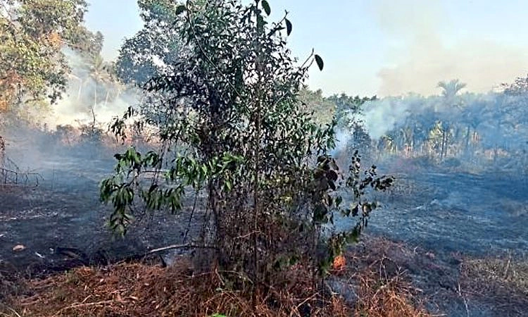 ಪುತ್ತೂರು: ಏಕ ಬಳಕ್ಕ ಪರಿಸರದಲ್ಲಿ ಬೆಂಕಿ ಅವಘಡ