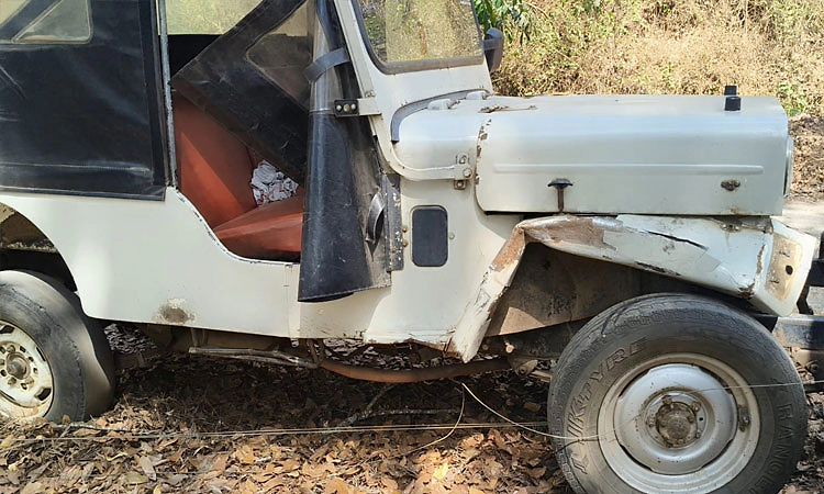 ಮಡಿಕೇರಿ: ಕಾಡಾನೆ ಅಟ್ಟಹಾಸ; ಕಾರ್ಮಿಕ ಮಹಿಳೆ ಸೇರಿ ಮೂವರಿಗೆ ಗಾಯ; ಜೀಪು ಜಖಂ