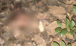 ಮುಂಡಗೋಡ: ಅರಣ್ಯದಲ್ಲಿ ರುಂಡವಿಲ್ಲದ ಮಹಿಳೆಯ ಬೆತ್ತಲೆ ಶವ ಪತ್ತೆ! 