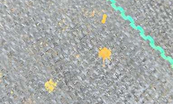 ಕಡಬ: ಮಳೆಹನಿ ಬಿದ್ದಲ್ಲಿ ಹಳದಿ ಬಣ್ಣದ ಚುಕ್ಕೆಗಳು: ಜನರಲ್ಲಿ ಕುತೂಹಲ