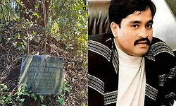 Dawood Ibrahim-linked properties auctioned in Ratnagiri after years of failed attempts