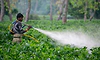 West Asia conflict to push up pesticide input costs by 20-25%, warns industry body