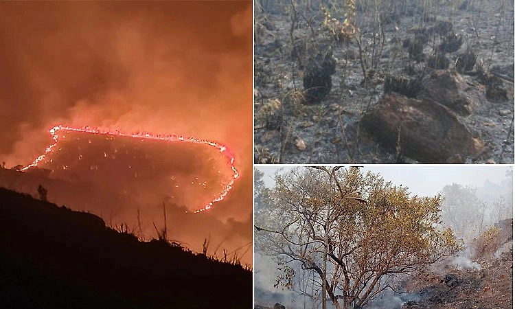 Forest fire hits Kudremukh grasslands; hundreds of acres feared damaged