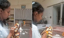 ಶಿವಮೊಗ್ಗದ ಮೃಗಾಲಯದಲ್ಲಿ ನೀರಾನೆ ದಾಳಿ: ಯುವ ವೈದ್ಯೆ ಸಾವು