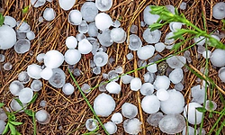 ಅನ್ನದಾತನ ಅನ್ನಕ್ಕೆ ಕಲ್ಲು ಹಾಕಿದ ಆಲಿಕಲ್ಲು!