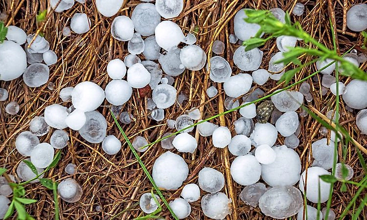 ಅನ್ನದಾತನ ಅನ್ನಕ್ಕೆ ಕಲ್ಲು ಹಾಕಿದ ಆಲಿಕಲ್ಲು!