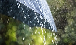 ದ.ಕ., ಉಡುಪಿ ಜಿಲ್ಲೆಯ ವಿವಿಧೆಡೆ ಮಳೆ