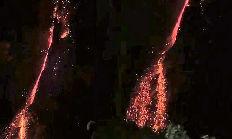 Chikkamagaluru: ಸಿಡಿಲು ಬಡಿದು ಹೊತ್ತಿ ಉರಿದ ಬೃಹತ್ ಮರ