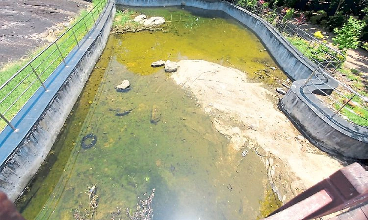 Udupi: ಪಾರ್ಕ್‌ಗಳ ನಿರ್ವಹಣೆಯಲ್ಲಿ ನಗರಸಭೆ ನಿರ್ಲಕ್ಷ್ಯ