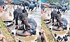 Madikeri: ಜಯಮಾರ್ತಾಂಡ ಸಾವಿಗೆ ತೀವ್ರವಾದ 7 ಗಾಯ, 70 ಲೀ. ರಕ್ತ ನಷ್ಟವೇ ಕಾರಣ?