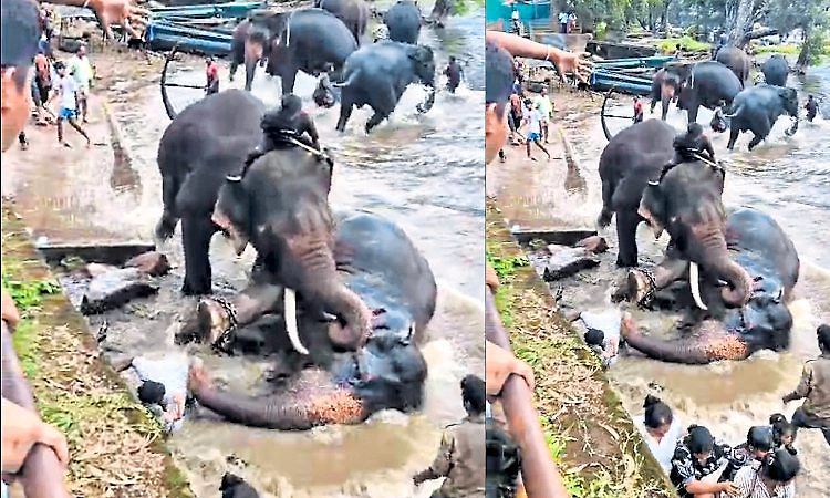 Madikeri: ಜಯಮಾರ್ತಾಂಡ ಸಾವಿಗೆ ತೀವ್ರವಾದ 7 ಗಾಯ, 70 ಲೀ. ರಕ್ತ ನಷ್ಟವೇ ಕಾರಣ?