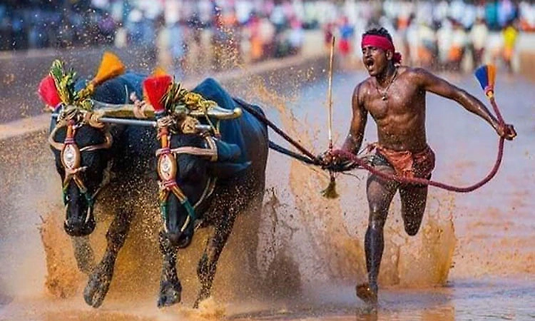 CM assures Rs 5 crore budget allocation for Kambala: Dr Deviprasad Shetty